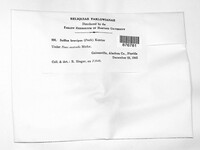 Image Associated With the Occurence